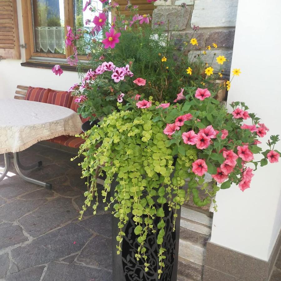 Ferienwohnung Haus Glanzern Westendorf Exterior foto